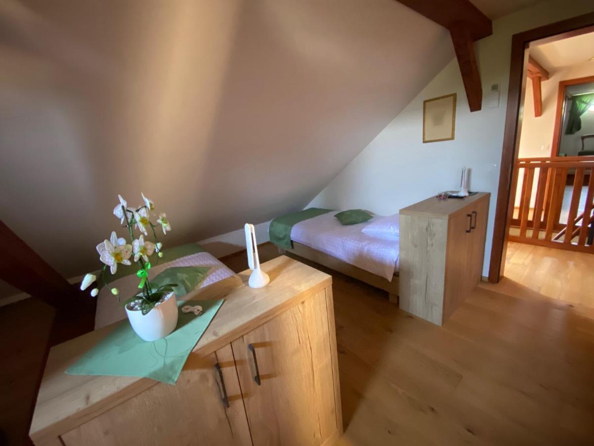 Villa Ruska Daca Ljubljana Kültér fotó