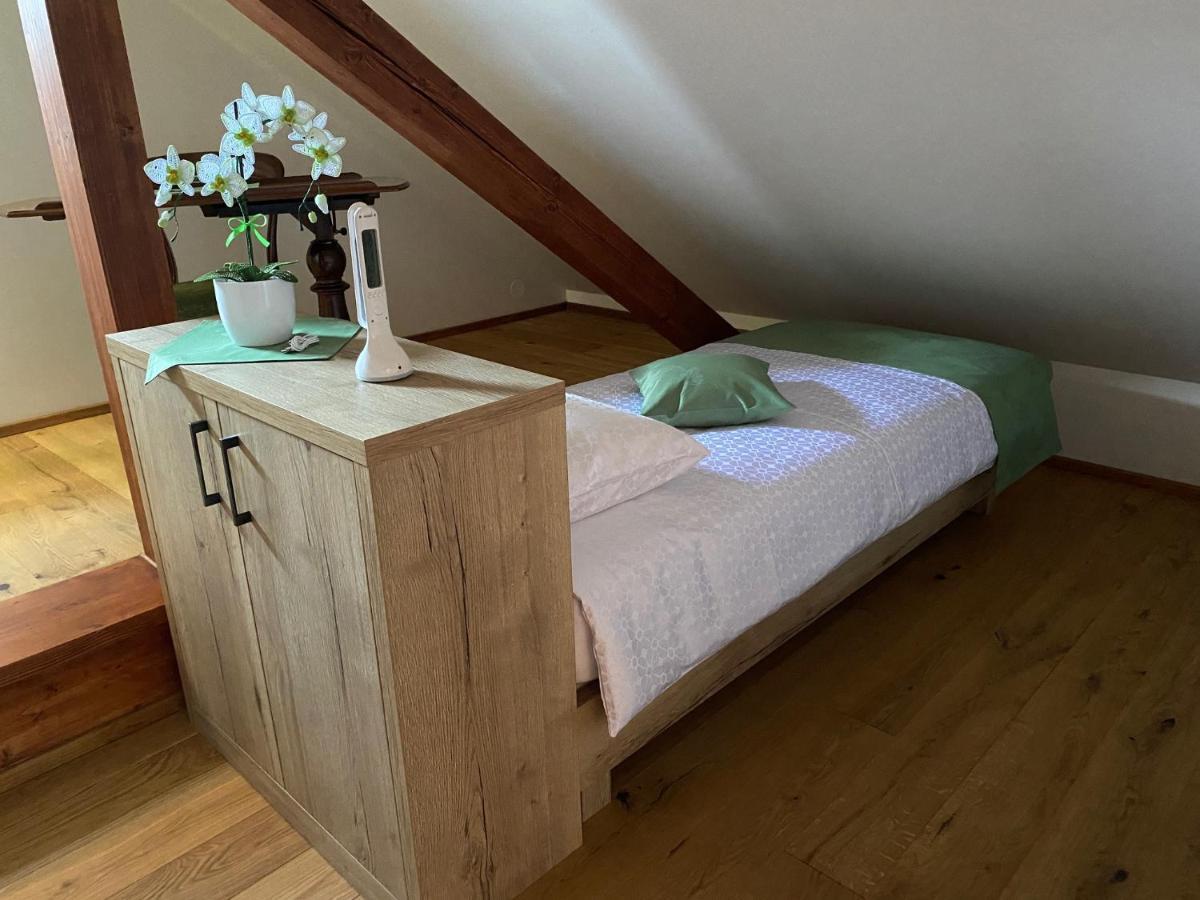 Villa Ruska Daca Ljubljana Kültér fotó