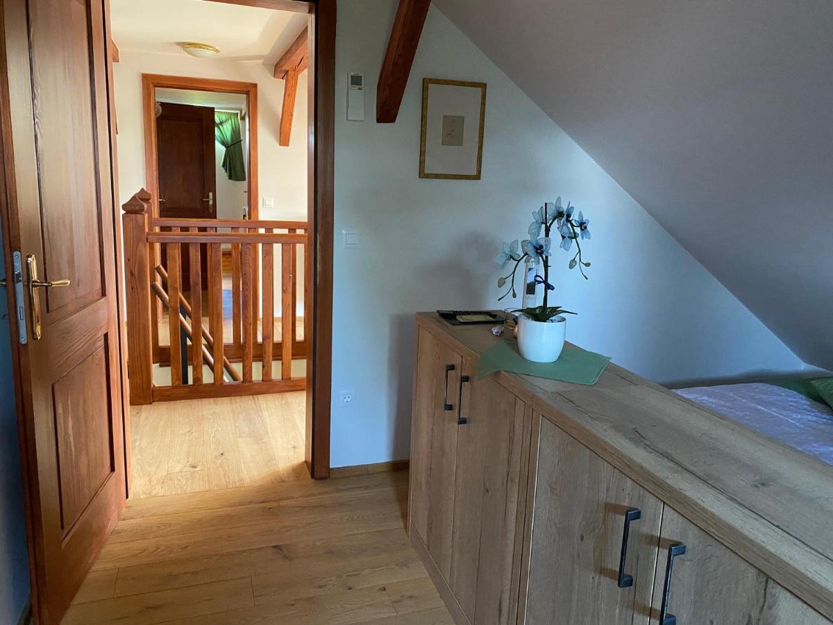 Villa Ruska Daca Ljubljana Kültér fotó