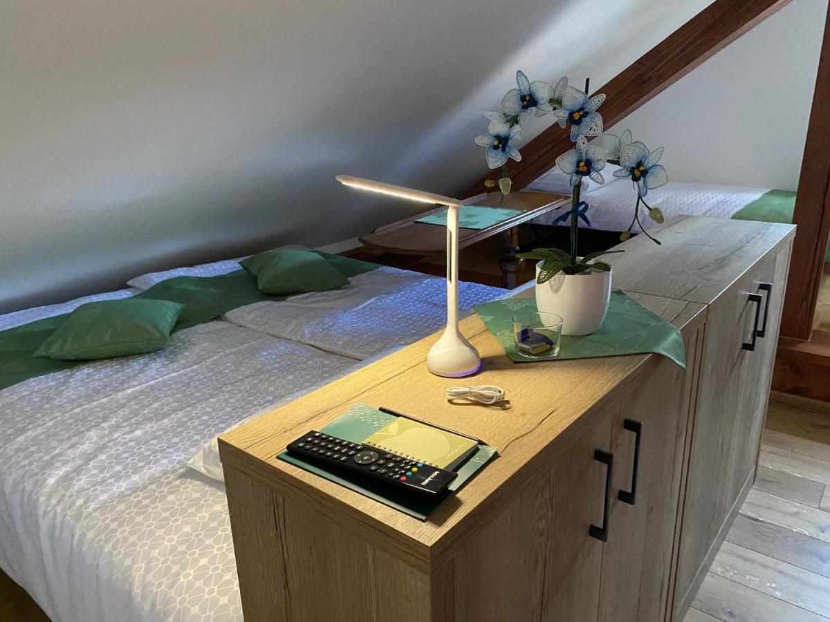 Villa Ruska Daca Ljubljana Kültér fotó